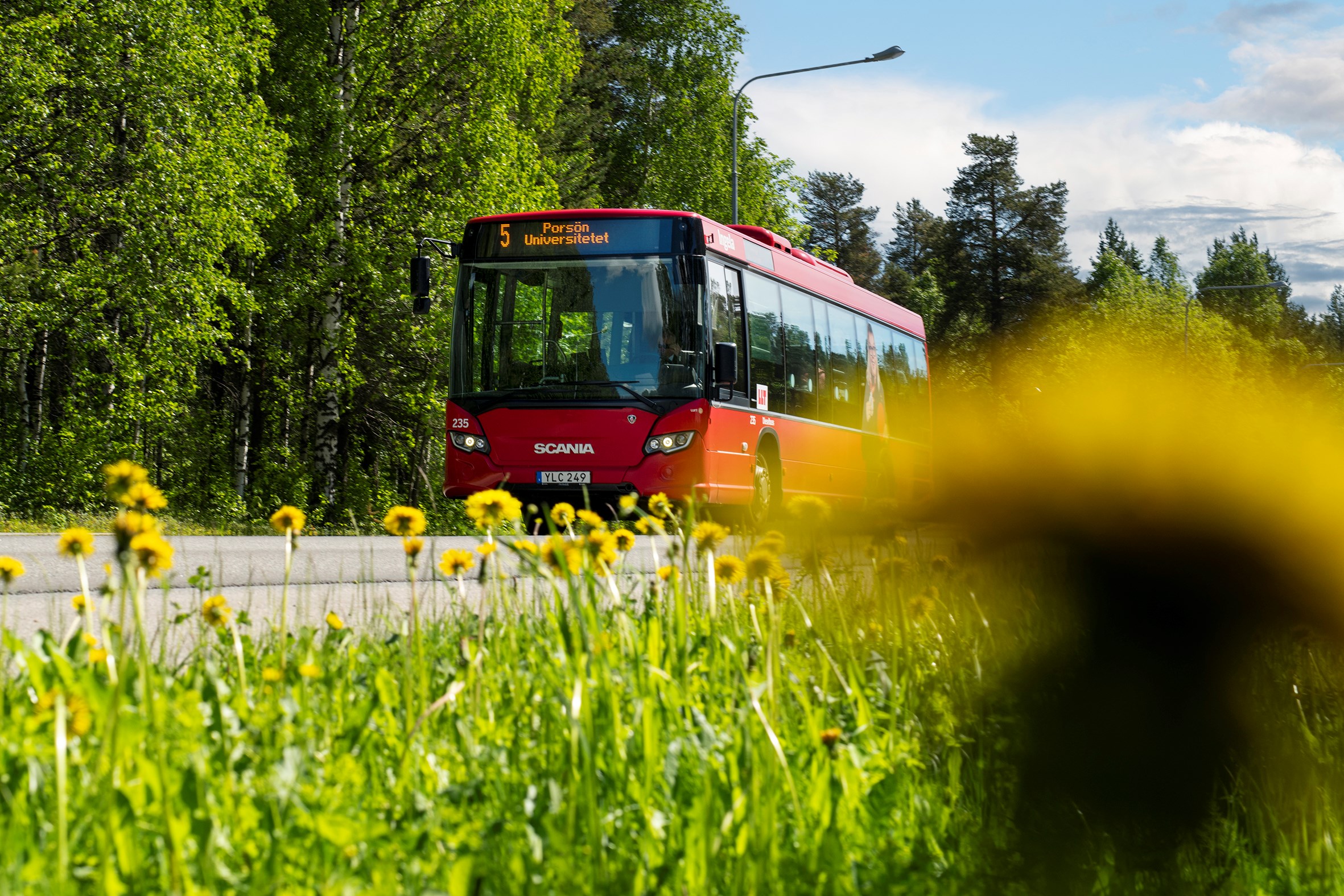 Bild på röd LLT buss. I förgrunden syns gräsmatta med gula maskrosor.